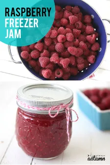 The Sweetest Rose: A Rose Marmalade Recipe